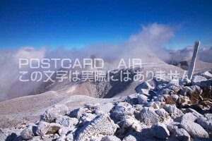 �y���{�̕��i�|�X�g�J�[�h��AIR�z�啪�� �|�c�s�v�Z�R �̃|�X�g�J�[�h�t���͂����n�K�L�@Photo�@by��i.com