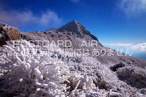 �y���{�̕��i�|�X�g�J�[�h��AIR�z�啪�� �|�c�s ���~�̋v�Z�R�̃|�X�g�J�[�h�t���͂����n�K�L�@Photo�@by��i.com