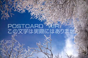 �y���{�̕��i�|�X�g�J�[�h��AIR�z�啪�� ���S��d�� ���X�Ɛ�̃|�X�g�J�[�h�t���͂����n�K�L�@Photo�@by��i.com