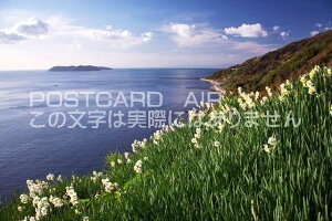 y{̕i|XgJ[hAIRzɌ 삠킶s 单␅勽̃|XgJ[ht͂nKL@Photo@byi.com