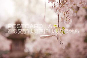 y{̕i|XgJ[hAIRzޗǌ ޗǎs Ƃ݂̃|XgJ[ht͂nKL@Photo@byi.com