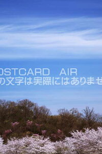 y{̕i|XgJ[hAIRzs{ ySؒƋ؉_̃|XgJ[ht͂nKL@Photo@byi.com