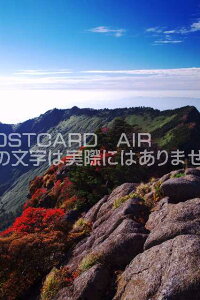 y{̕i|XgJ[hAIRzQ s ΒȎȐH̃|XgJ[ht͂nKL@Photo@byi.com
