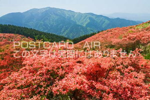 y{̕i|XgJ[hAIRzޗǌ@䏊s ccW炭鍂̃|XgJ[ht͂nKL@Photo@byi.com