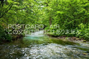 y{̕i|XgJ[hAIRz쌧@㍂n V΂̏̃|XgJ[ht͂nKL@Photo@byi.com