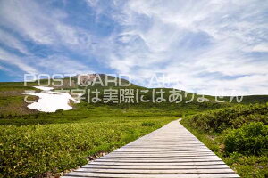 y{̕i|XgJ[hAIRzΐ쌧@Rs Ă̖ɃP̃|XgJ[ht͂nKL@Photo@byi.com