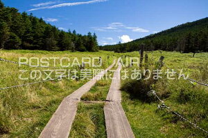 y{̕i|XgJ[hAIRz쌧 sؓƑ̃|XgJ[ht͂nKL@Photo@byi.com