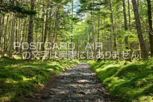 y{̕i|XgJ[hAIRz쌧 sX̏̃|XgJ[ht͂nKL@Photo@byi.com