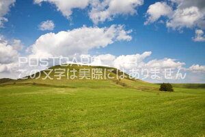 y{̕i|XgJ[hAIRzkC@WÒ̋ũ|XgJ[ht͂nKL@Photo@byi.com