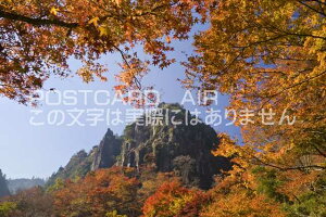 y{̕i|XgJ[hAIRzn̍gt啪Îs Photo@byi.comt͂nKL