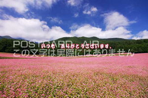 yӌtœ`Ẵ|XgJ[hAIRzu@肪Ƃ܂vԔ̃nKLpostcard-photo by i.com