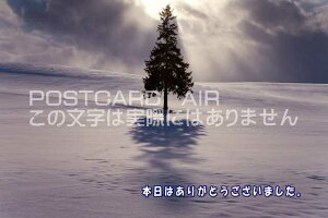 yӌtœ`Ẵ|XgJ[hAIRzu{͂肪Ƃ܂BvkC̃nKLpostcard-photo by i.com