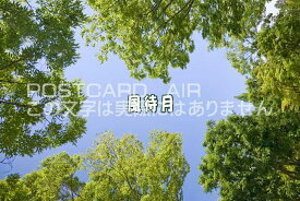 【季節・時候の挨拶ポストカードのAIR】「風待月」ハガキpostcard-photo by 絶景.com