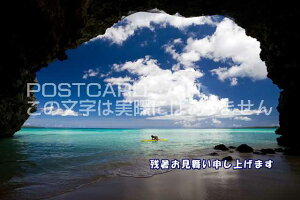 yĂ̋G߂̈A|XgJ[hAIRzuc\グ܂v̊C̃nKLGtpostcard-photo by i.com