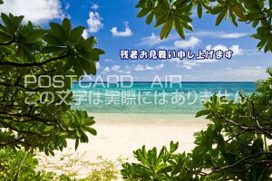 yĂ̋G߂̈A|XgJ[hAIRzuc\グ܂ṽr[`Ɛ̃nKLGtpostcard-photo by i.com