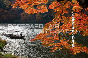 bZ[W|XgJ[hu̍ɐ܂ėǂvgt̕xmR|XgJ[hnKLpostcard-photo by i.com