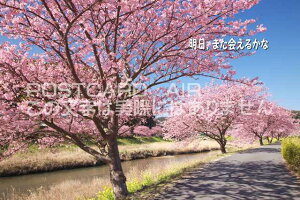 yC`镶|XgJ[hAIRzuA܂邩ȁṽnKLpostcard-photo by i.com