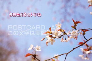 yC`镶|XgJ[hAIRzu܂Ƃˁṽ|XgJ[hnKLpostcard-photo by i.com