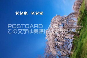 y܂C`镶|XgJ[hAIRzuv@vṽ|XgJ[hnKLpostcard-photo by i.com