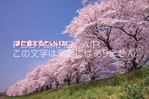 yC`镶|XgJ[hAIRzu܂Ƃˁṽ|XgJ[hnKLpostcard-photo by i.com