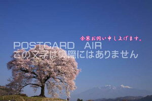 yG߂̈A|XgJ[hAIRzu]f\グ܂Bṽ|XgJ[hnKLpostcard-photo by i.com