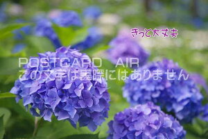 yC`镶|XgJ[hzuƑvvzԂ̂͂EtEnKLphoto by i.com