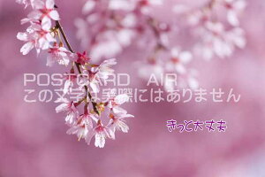 yC`镶|XgJ[hzuƑvv͂EtEnKLphoto by i.com