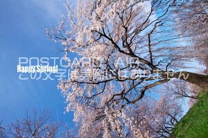 yC`镶|XgJ[hzuHappy Spring!v͂EtEnKLphoto by i.com