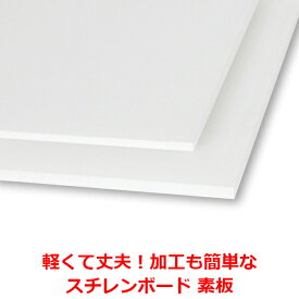 スチレンボード 発泡スチロール 板 5mm OG菊全 （600×900mm） PSボード のりなし 素板 発泡 パネル スチレン ボード 板 5mm OG菊全 模型 工作 POP 看板芯材