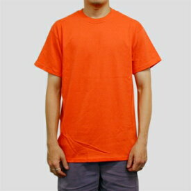 Tシャツ 無地 メンズ Hanes BEEFY TEE ( ヘインズ Tシャツ ) 6.1ozビーフィー T/オレンジ t5180on