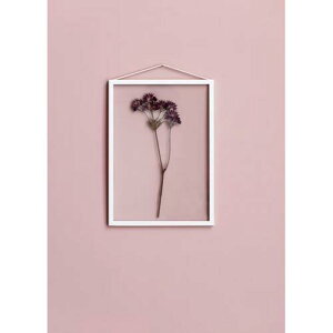 MOEBE | A3 FRAME (white) | A3 A~t[y[x k f}[N CeA |X^[t[z zCg a3 |X^[t[ A3 |X^[t[  t[ |X^[ A[gt