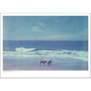 y50x70cmzDAN ISAAC WALLIN - MICA AND BILLIE 341 k |X^[ XEF[f ʐ^ A[g A[g|X^[ k |X^[ CeA IV  ǎ C g ʐ^  