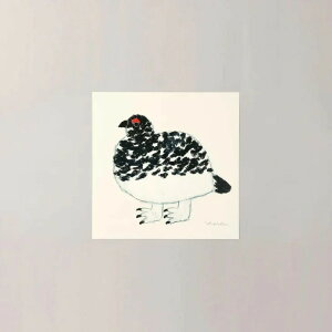 y20x20cmza good view - C`E (ivory) k A[g|X^[