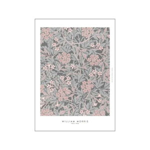 yA5zWilliam Morris - Dust Rose A[gvg/A[g|X^[ k f}[N CMX [֑