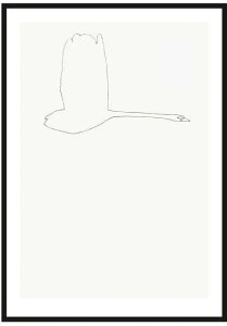 �y50x70cm�zJORGEN HANSSON - Swan no.1 �A�[�g�v�����g/�|�X�^�[ �k�� �V���v�� �C���e���A �������