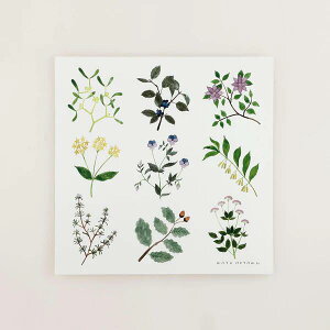 y30x30cmza good view - PLANTS k A[g|X^[ vc  rO R KAYO AOYAMA