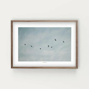 y50x70cmzSIMPLISTIC LAYERS - FLYING DUCKS (APS33) A[gvg |X^[ i  n蒹 Vv CeA ʐ^   