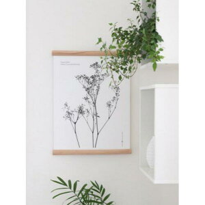 y30x40cmzMICUSH - GYPSOPHILA ART PRINT (AP06) | A[gvg |X^[ CeA 