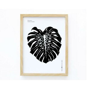 y30x40cmzMICUSH - MONSTERA ART PRINT (AP03) | A[gvg |X^[ Vv CeA 