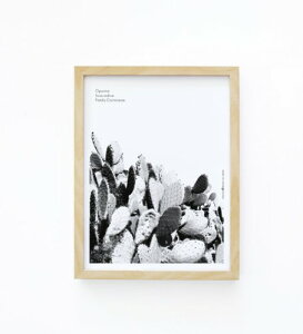 y30x40cmzMICUSH - CACTUS WALL ART PRINT (AP020) A[gvg |X^[ CeA 