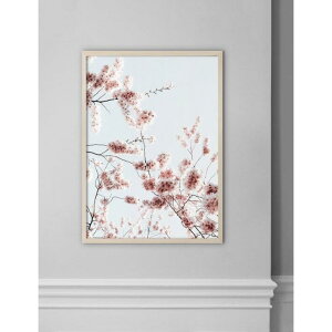 yA3zNOUROM - SAKURA #3 | k |X^[ XEF[f AuXgNg A[g A[g|X^[ |X^[ CeA IV  ǎ