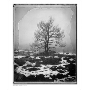 y40x50cmzDAN ISAAC WALLIN - OXSJON | k |X^[ XEF[f ʐ^ A[g A[g|X^[ k |X^[ CeA IV  ǎ i X  ʐ^  