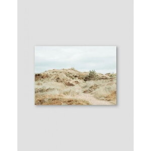 y50x70cmzNOUROM - SKAGEN HORIZONTAL | k |X^[ XEF[f i iF ʐ^ _ ~j} A[g A[g|X^[ |X^[ CeA IV  ǎ