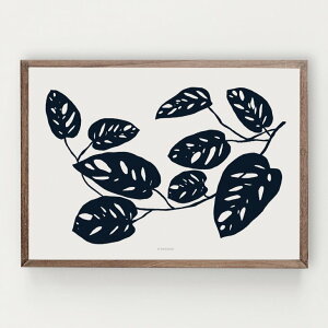 y30x40cmzMICUSH - BOTANICAL SILHOUETTE - MONSTERA OBLIQUA ART PRINT (AP151) | A[gvg |X^[ Vv CeA 