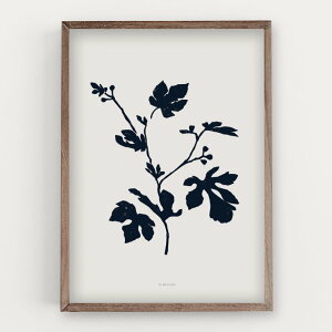 y30x40cmzMICUSH - BOTANICAL SILHOUETTE - ART PRINT (AP146) | A[gvg |X^[ Vv CeA 