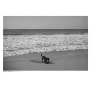 y50x70cmzDAN ISAAC WALLIN - MICA AND BILLIE 79 | k |X^[ XEF[f ʐ^ A[g A[g|X^[ k |X^[ CeA IV  ǎ C  ʐ^  