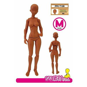 zr[x[X ֐ߋZEX 1/12fނM F ͌^pObY PPC-T139