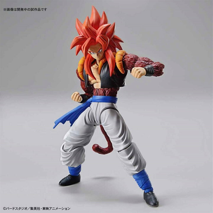 楽天市場 バンダイ Figure Rise Standard 超サイヤ人4ゴジータ ドラゴンボールgt より プラモデル ポスト ホビーwebshop