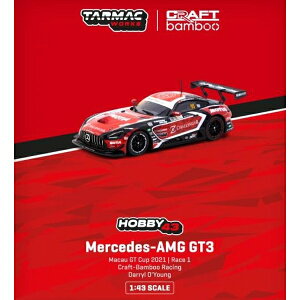 ^[}bN[NX 1/43 ZfXAMG GT3 NtgEou[[VO }JIGT Cup 2021 Race1 EBi[ i~jJ[ T43-023-21MGP95