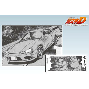 AIV} 1/24 D No.19 痈l S15 VrA XP[f 4905083066119